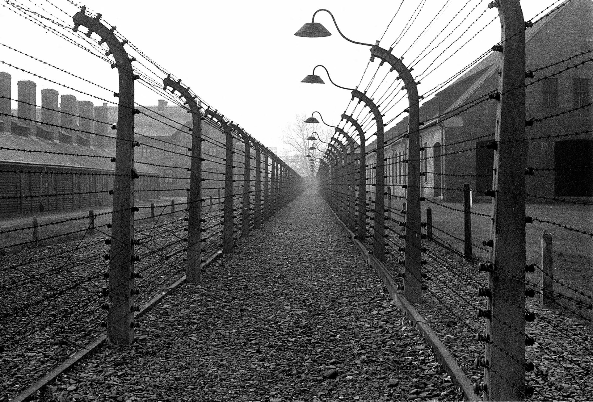 A holokauszt roma áldozatairól emlékeznek meg Auschwitzban és Budapesten