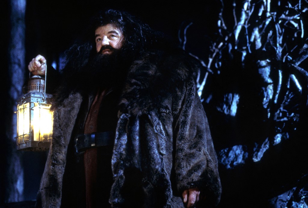 Nyugodj békében, Hagrid!