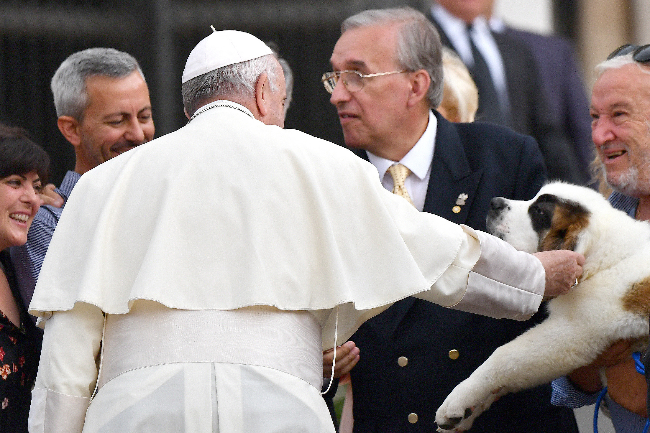 Ferenc Pápa negatív kritikát mondott a kutyatartókról 