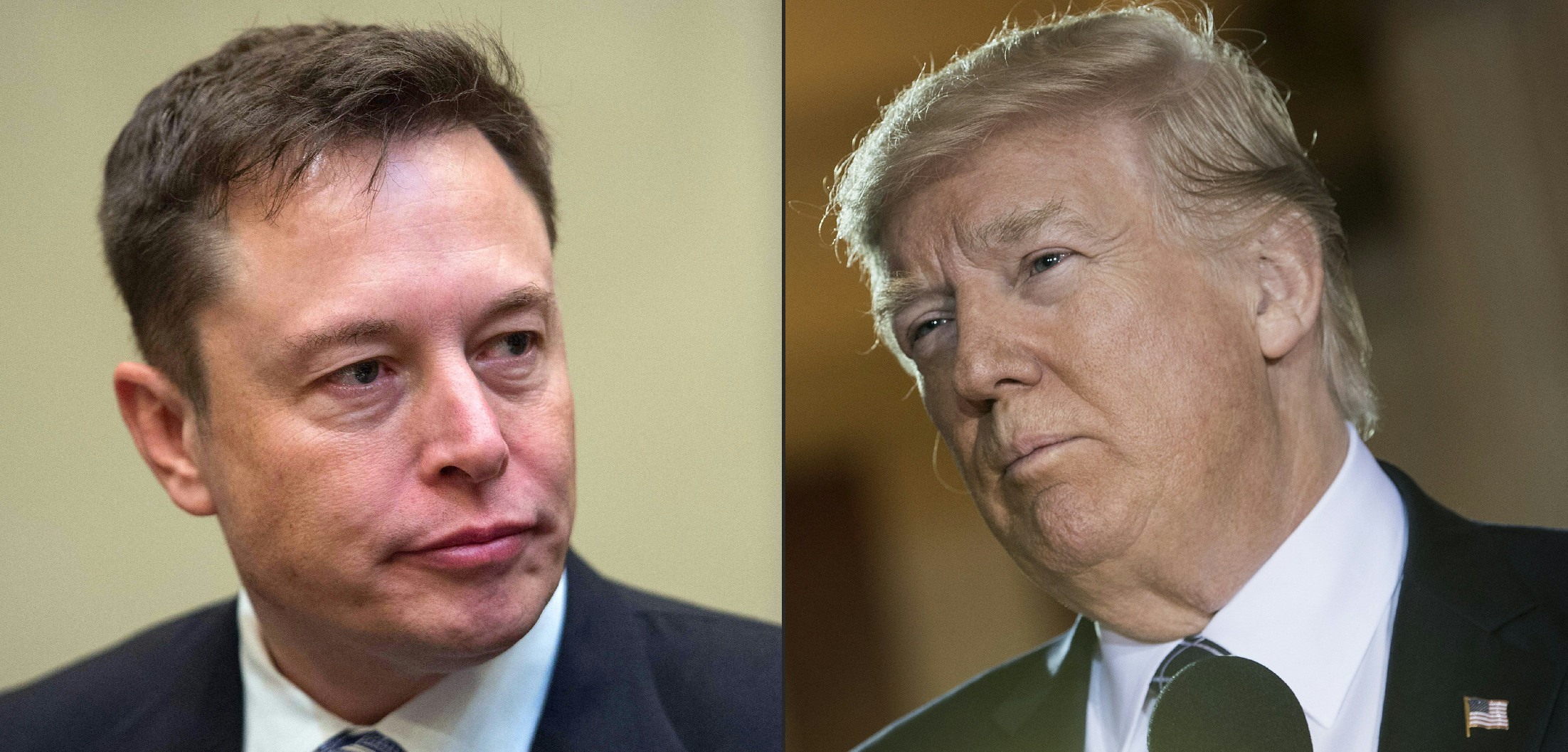 Elon Musk üzent Trumpnak