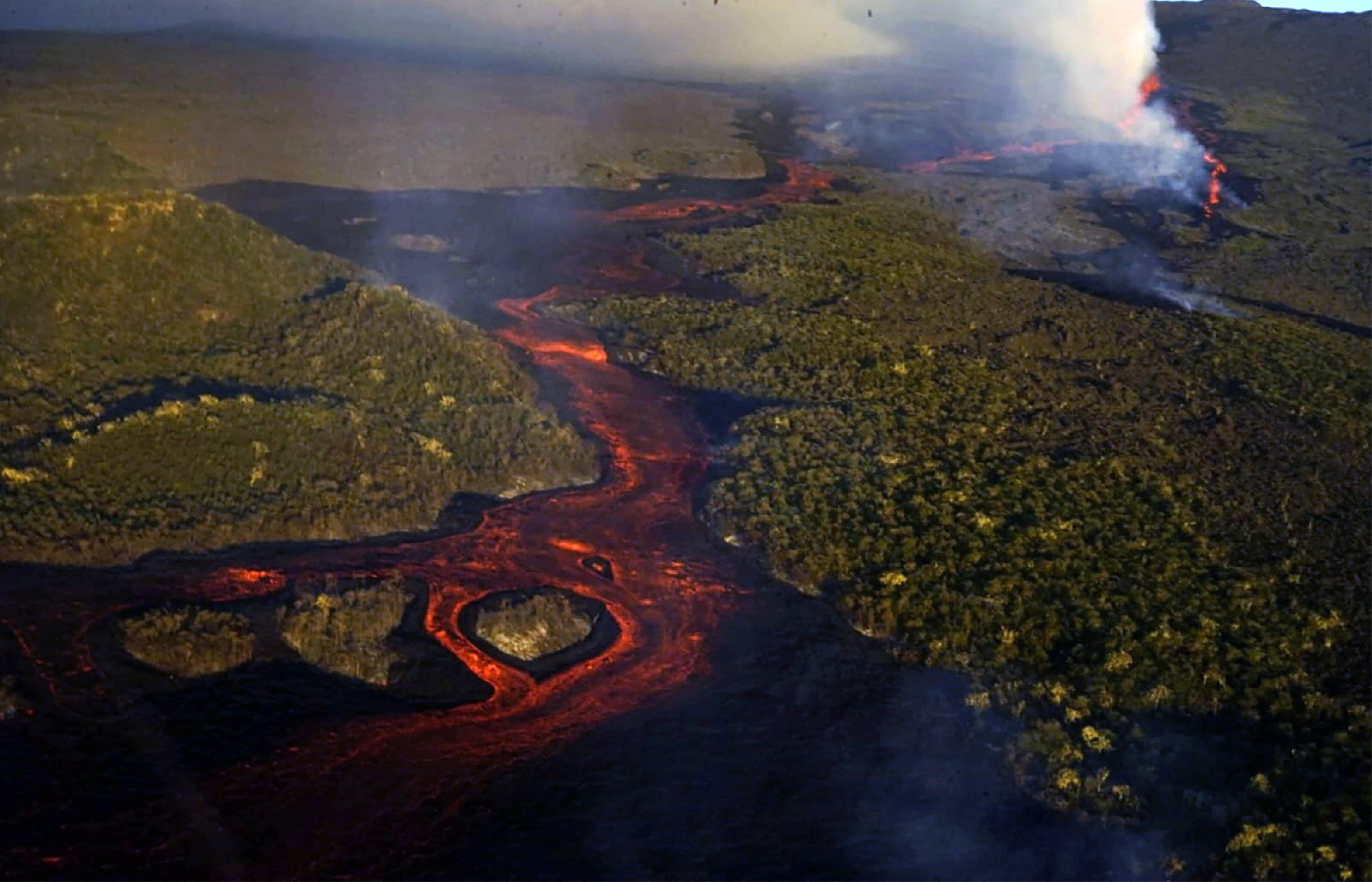 Kitört egy vulkán – veszélyben az iguánák 