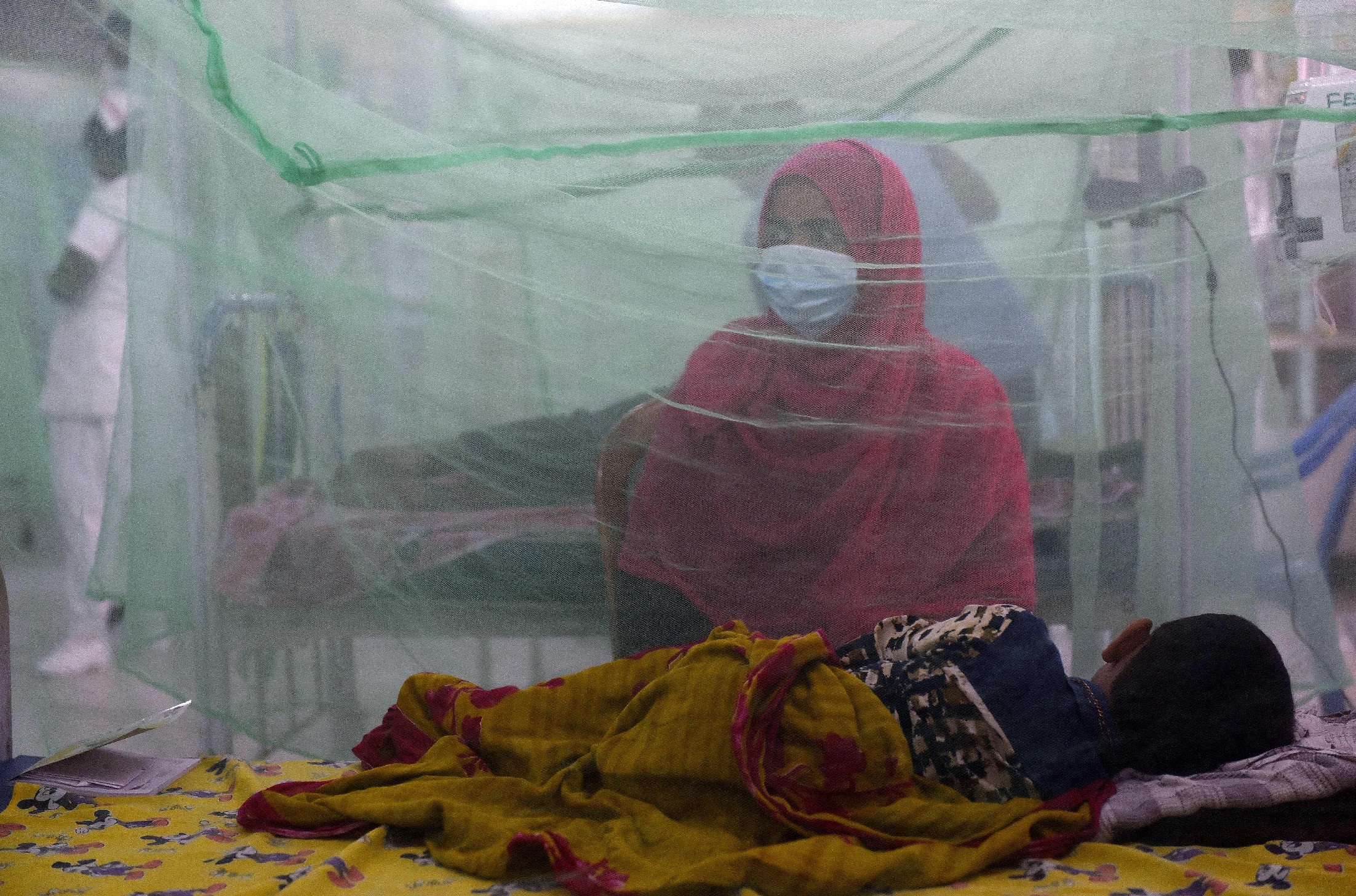 Járvány – Hirtelen ugrott meg a dengue-lázas esetek száma
