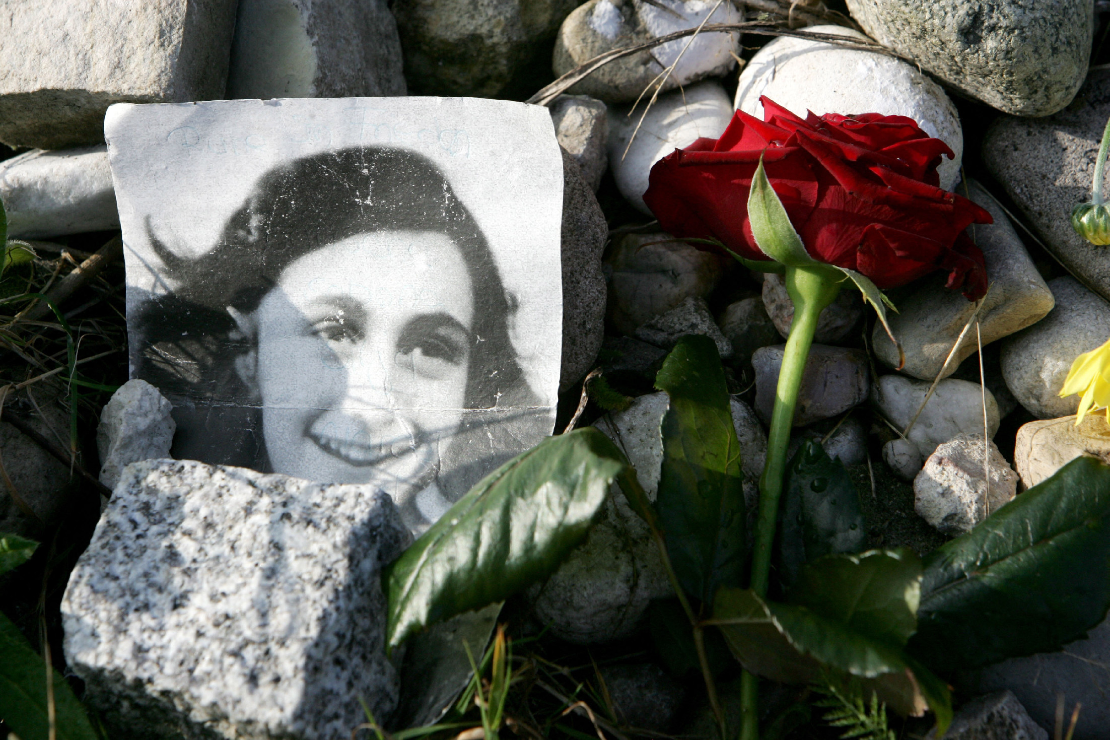 Kiderült, ki árulhatta el Anne Frankot és családját
