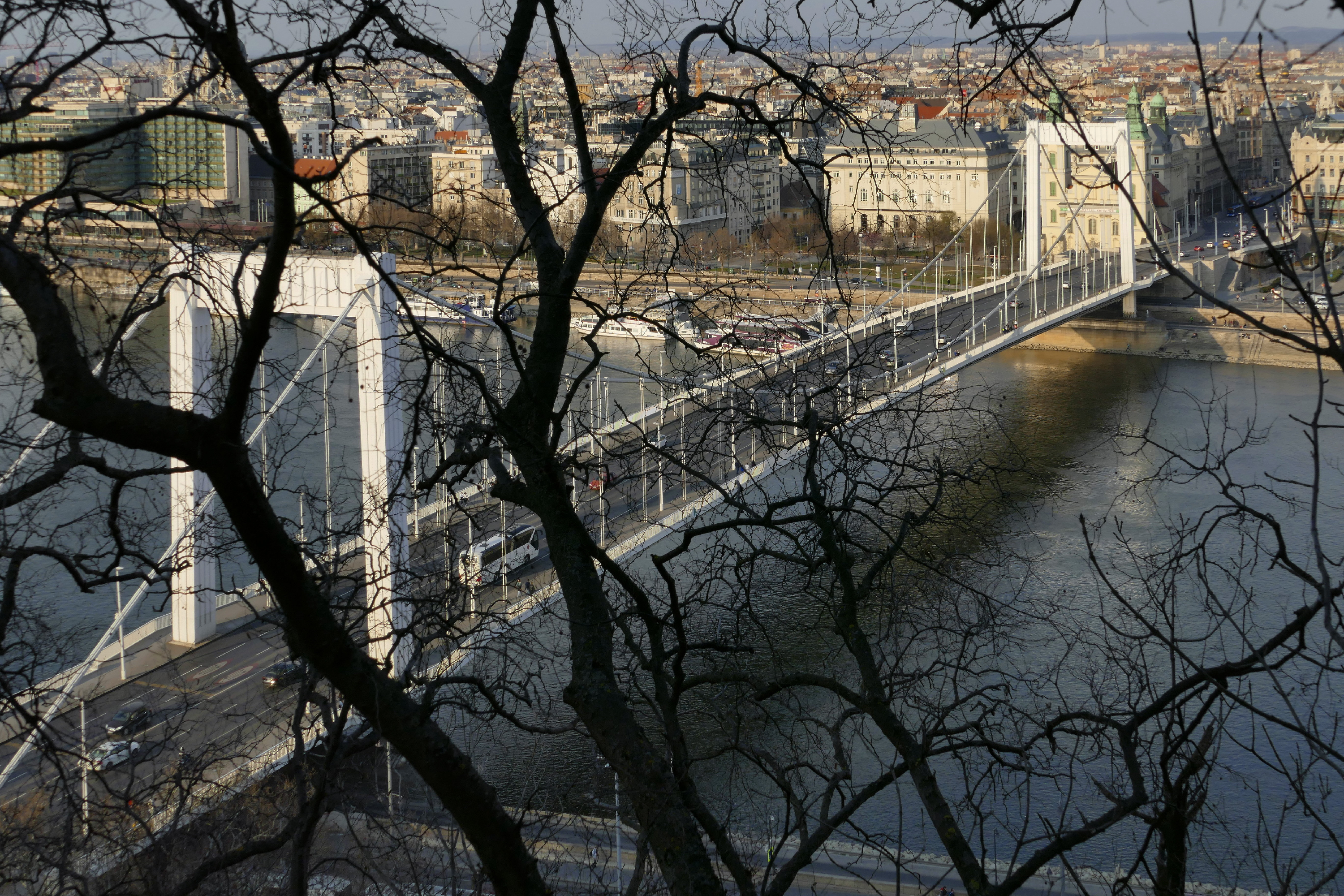 A Dunába esett egy férfi az Erzsébet hídról