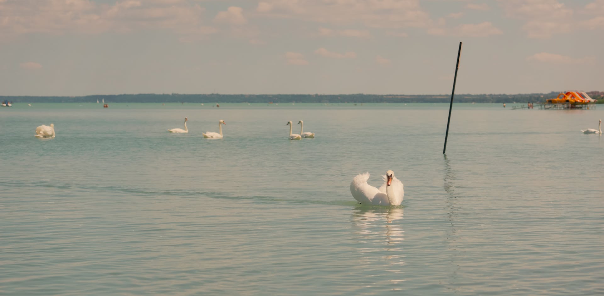 Marad a kánikula: jó hír ez a Balatonra utazóknak 