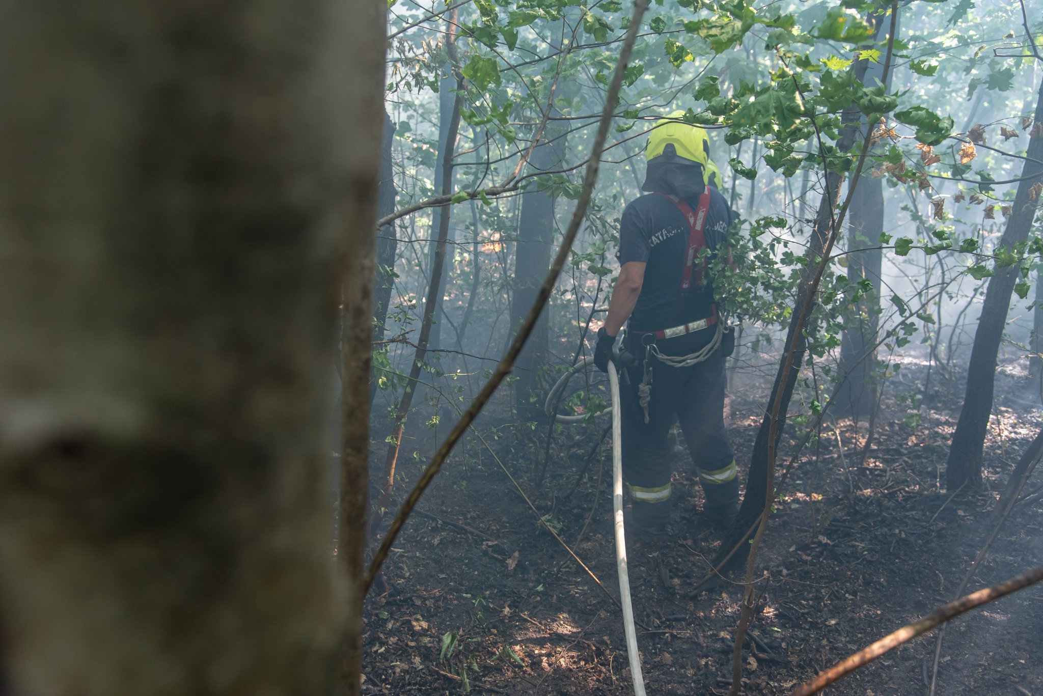 Újabb tűz Budapesten, tizenöt hektáron gyulladt meg az aljnövényzet