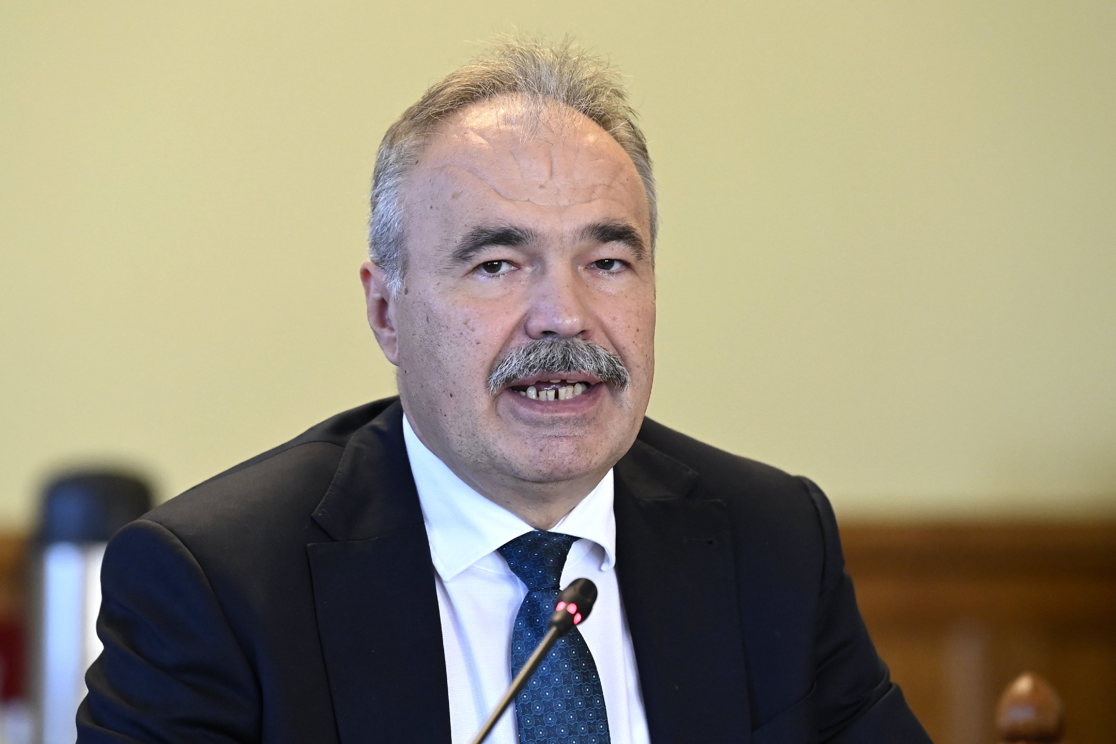 Agrárminiszter: az EU hagyja elsüllyedni a sertéságazatot 