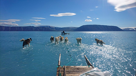 Egyetlen nap alatt annyi jég olvadt el Grönlandon, hogy víz alá kerülhetne Florida