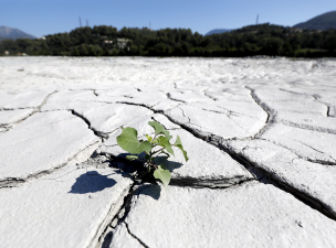 Történelmi szárazság – Még három hónapnyi aszályra figyelmeztet az Európai Unió