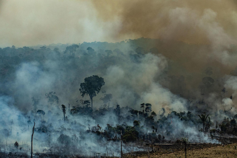  Brazíliai erdőtüzek