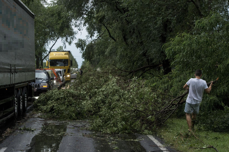 Vihar - Útra dőlt fák és letört ágak Bócsa határában 
