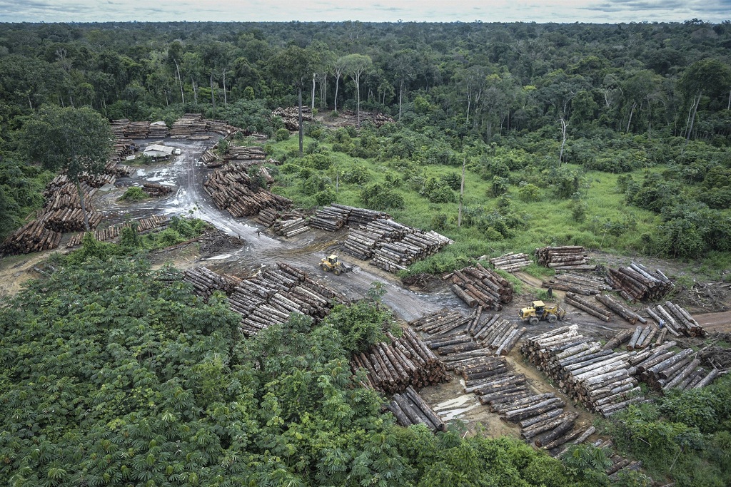 Folyamatosan pusztul az Amazonas