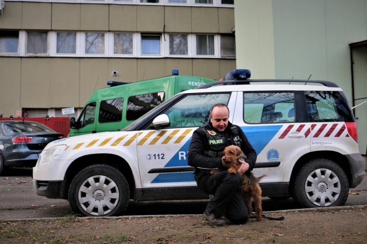 Nyugdíjba ment a somogyi rendőrkutya, Ropi 
