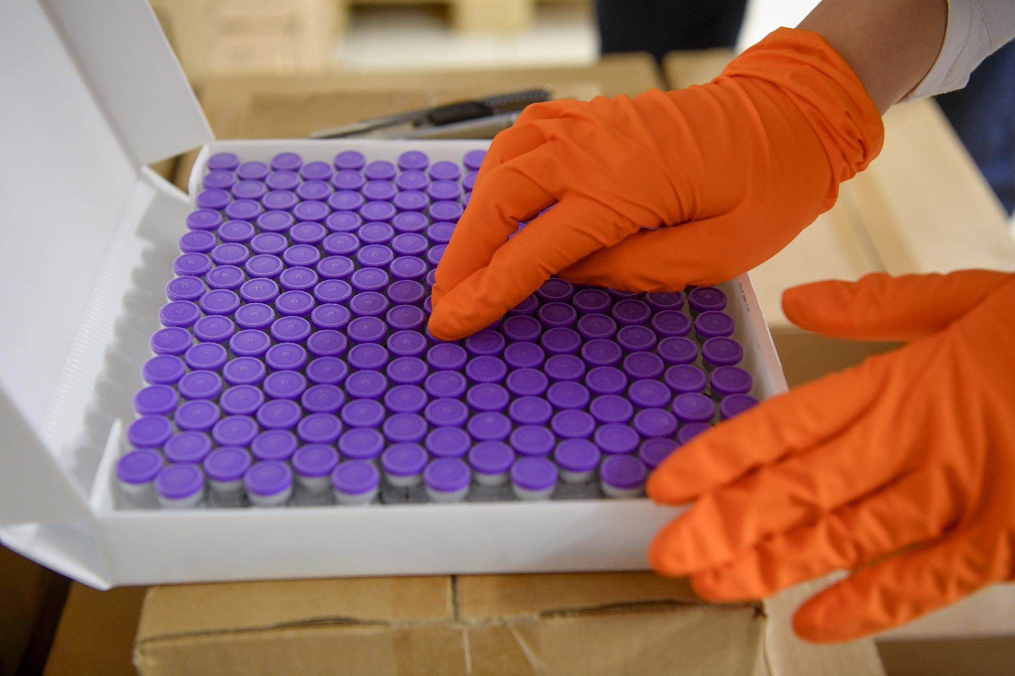 A Novartis segít a Pfizernek a vakcinagyártásban