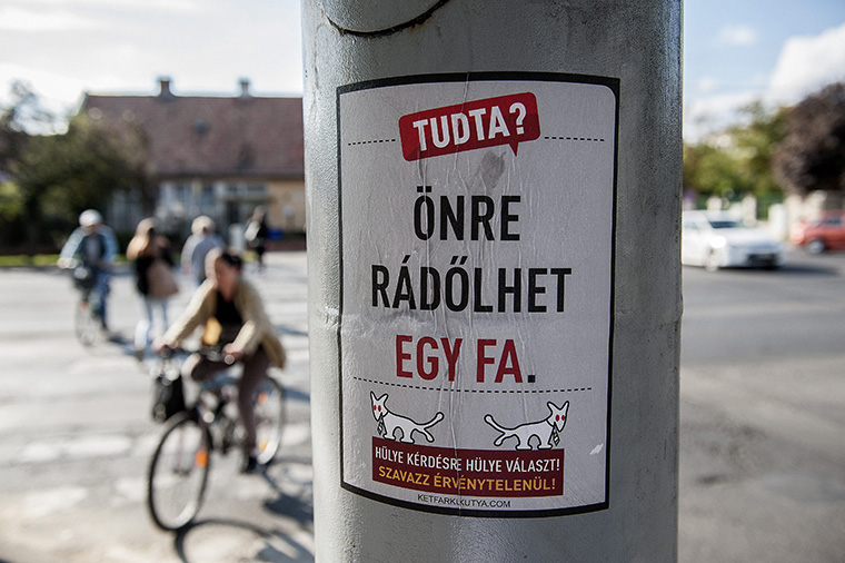 Fotó: MTI / Czeglédi Zsolt