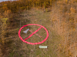 Hatalmas baltával hívja fel a figyelmet a fakitermelésre a Greenpeace