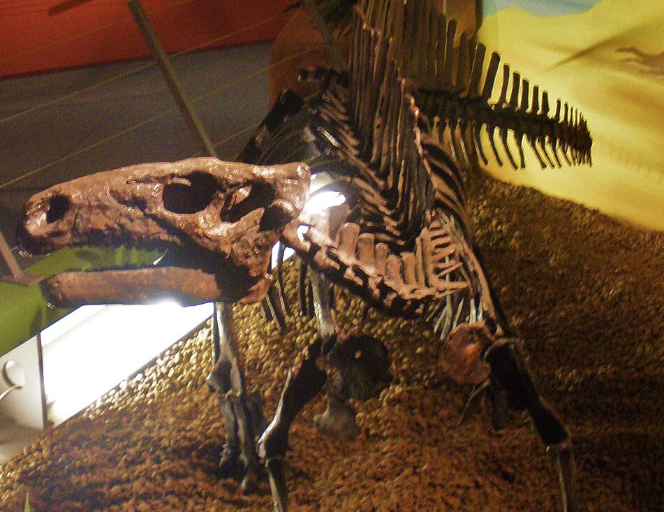 Szenzációs dinoszaurusz-leletekre bukkantak az ELTE munkatársai