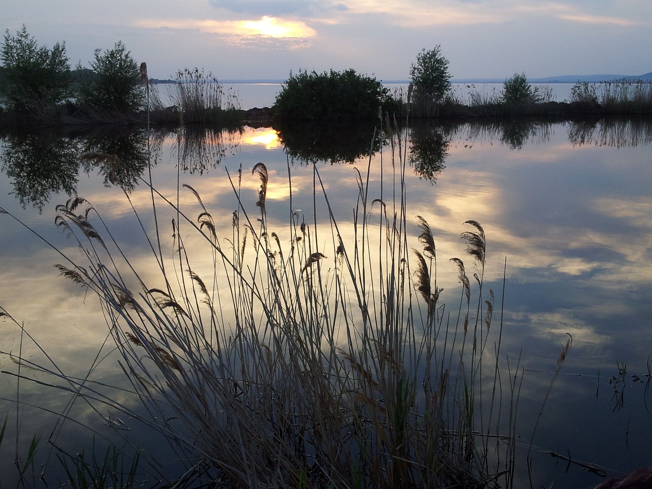 Túl sok a műanyag a hazai természetes vizekben – ennyi szemetet találtak a Balatonban