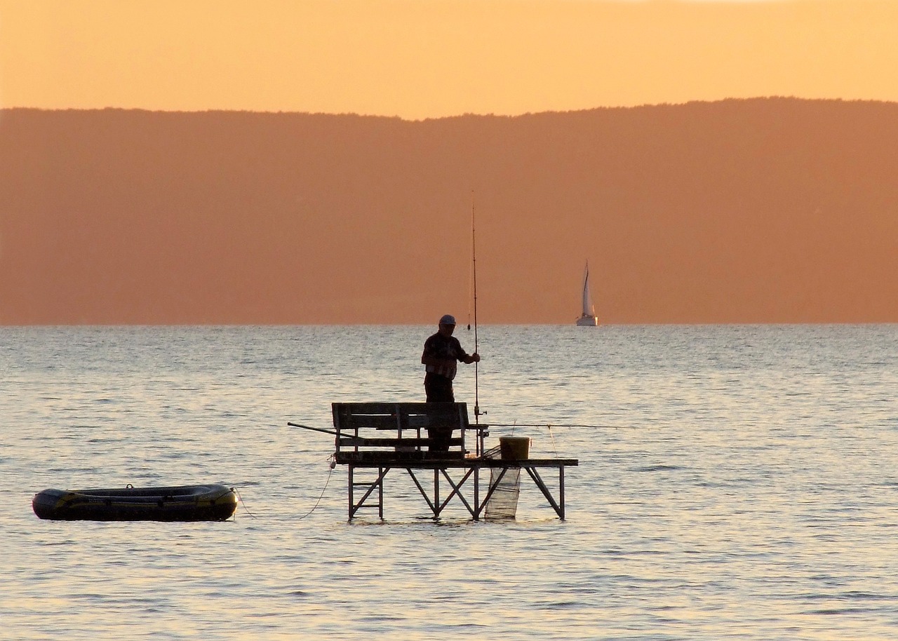 A Balaton új állatfajnak ad otthont