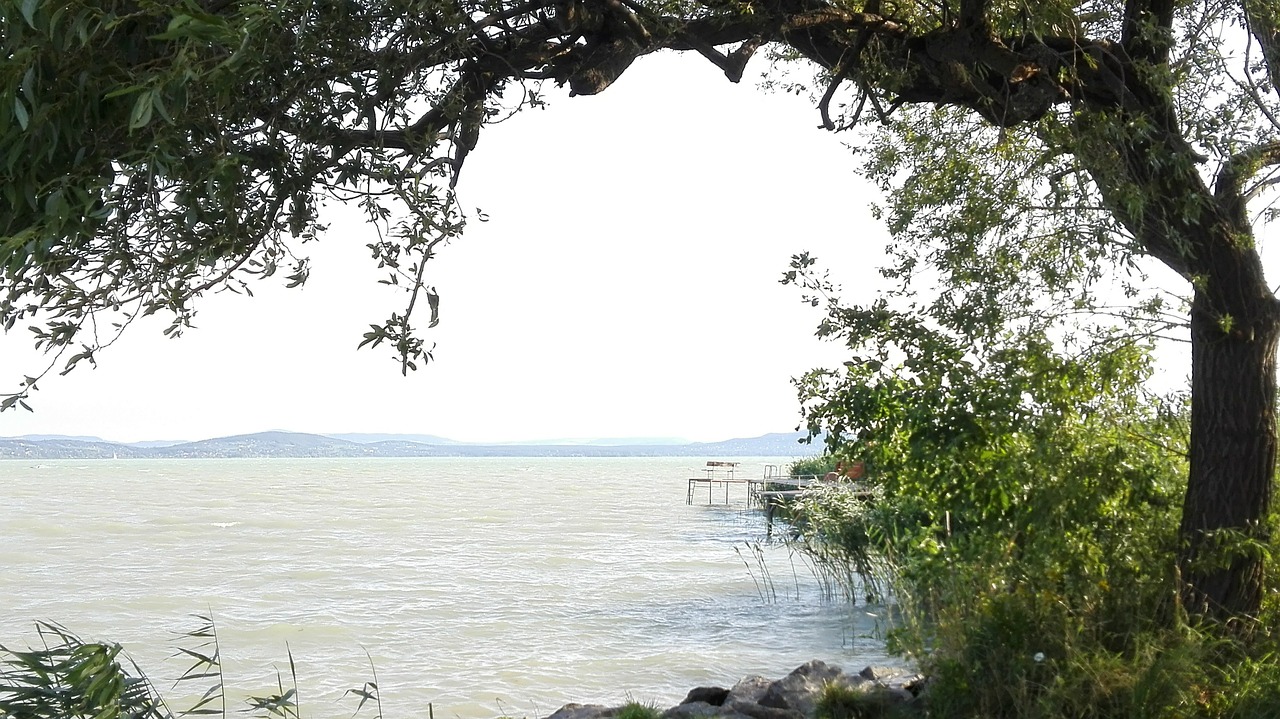 Újabb rágcsáló terjedt el a Balatonnál – akár áramkimaradást is okozhatnak