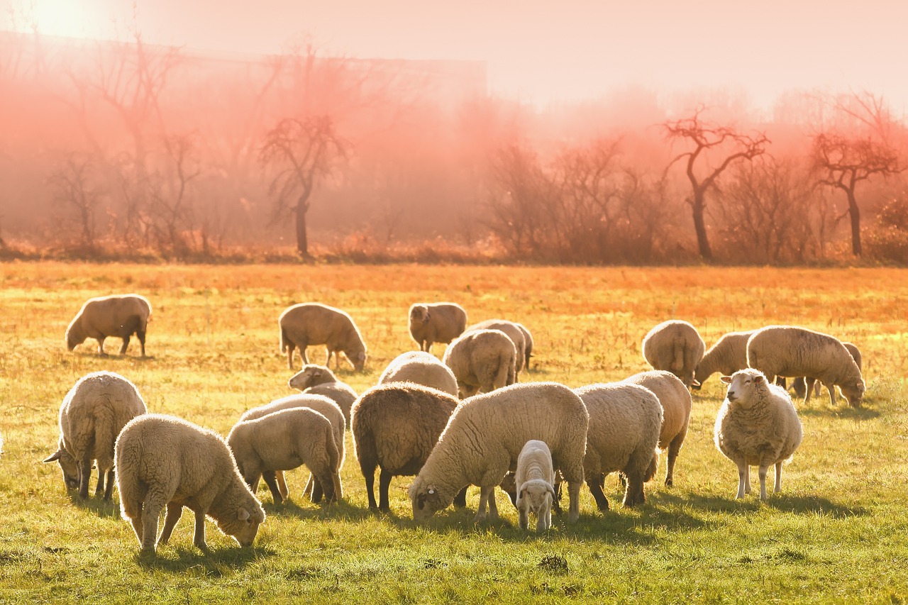 Terjed a járvány, már a Balatonnál is korlátozásokat vezettek be