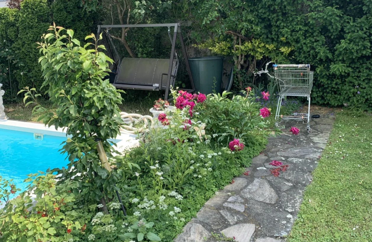 Hol van a macska a képen? Ez az optikai illúzió alaposan próbára teszi a képességeit