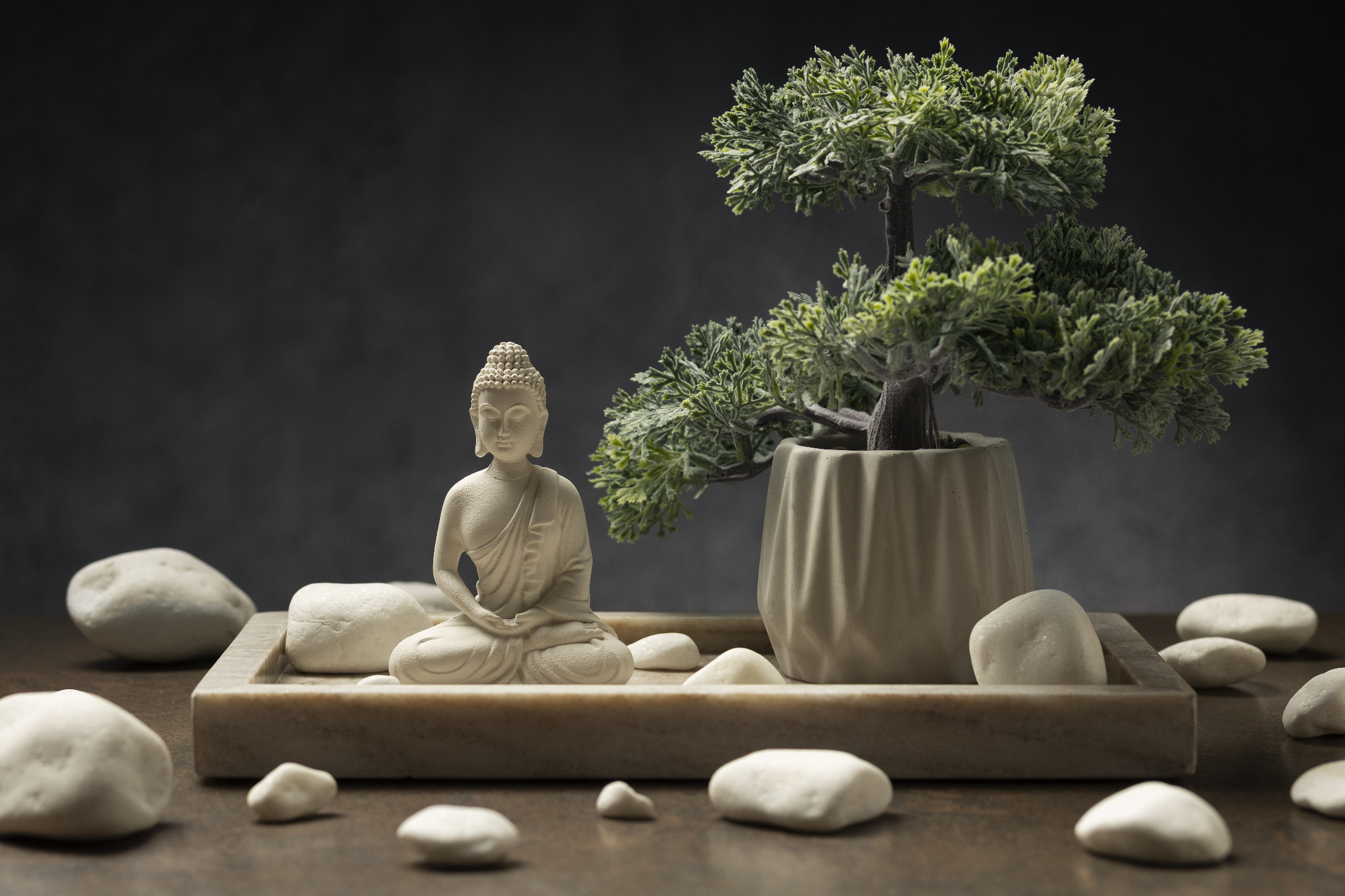 Ezek a leghatásosabb pénzhozó növények a Feng Shui szerint