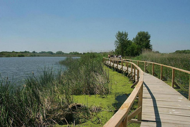 Mintegy egymillió köbméter vizet kell leengedni, hogy csökkentsék a Tisza-tó szintjét 