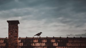 A fűtés a fő légszennyező  Forrás: pexels.com