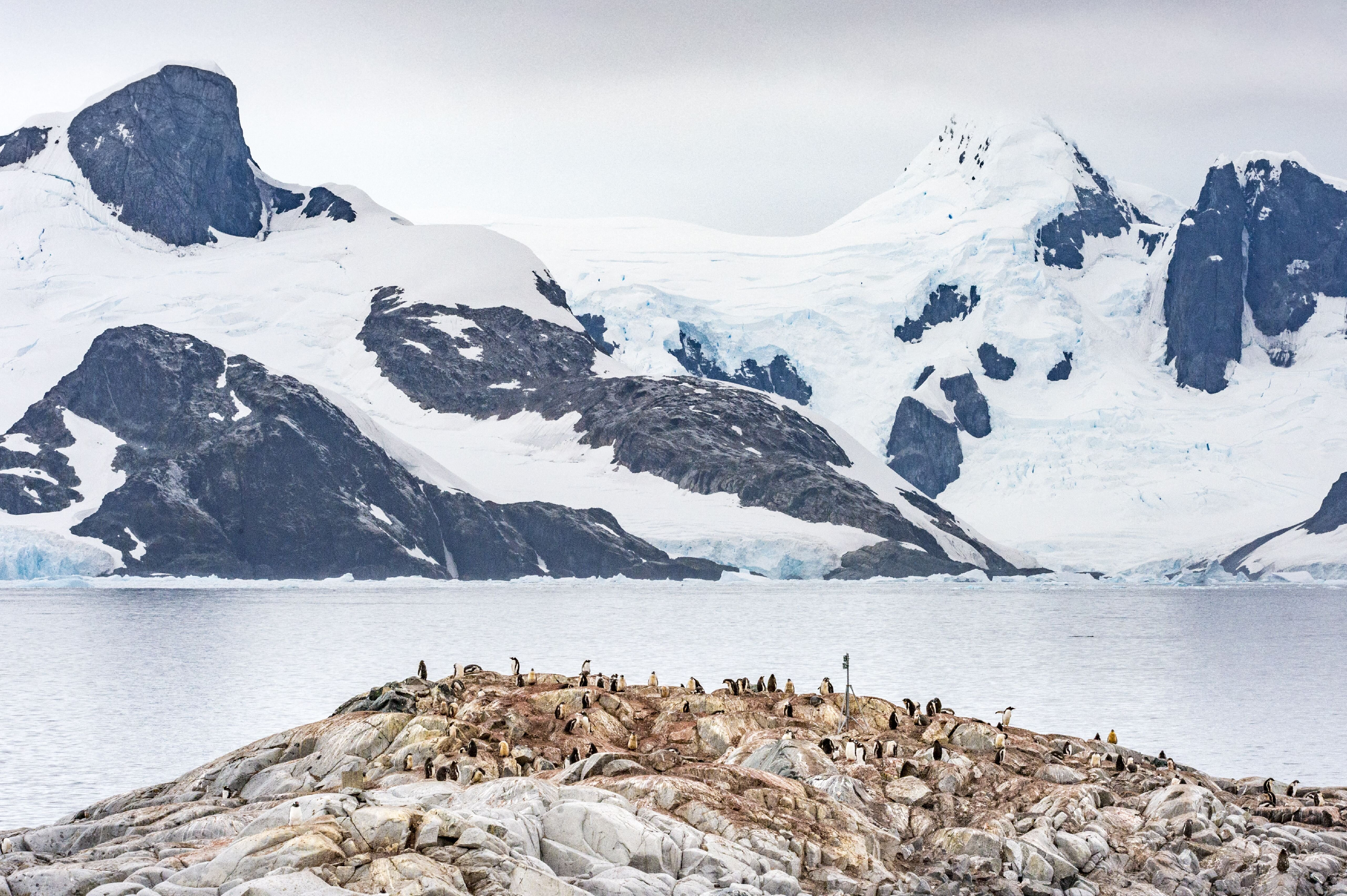 Elolvadt az Antarktiszról letört gigajéghegy