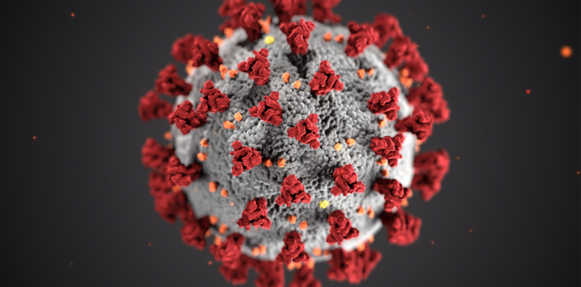 Így áll most hazánkban a koronavírus 