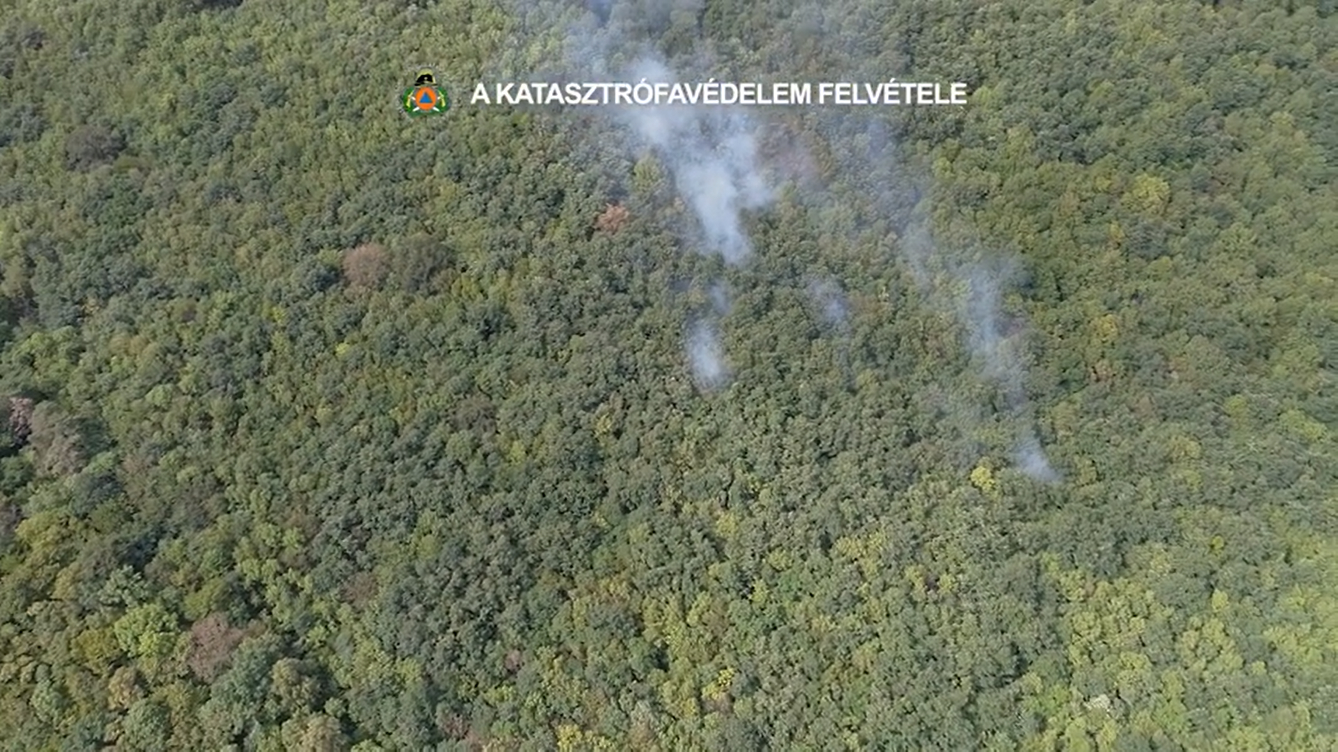Videó: Így lángolt az erdő a második kerületben