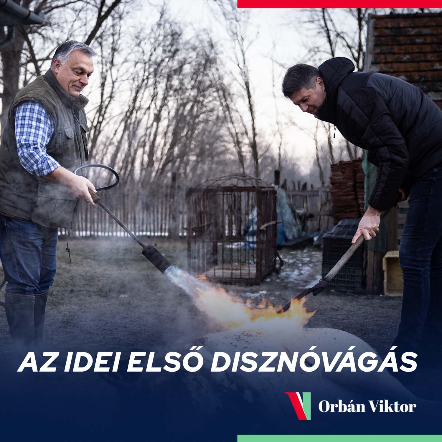 Orbán disznót vág – mi meg ehetjük a csirkefarhátat