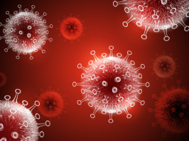 Koronavírus – Pécsen új eljárással vált mérhetővé a vírusok által kiváltott immunválasz
