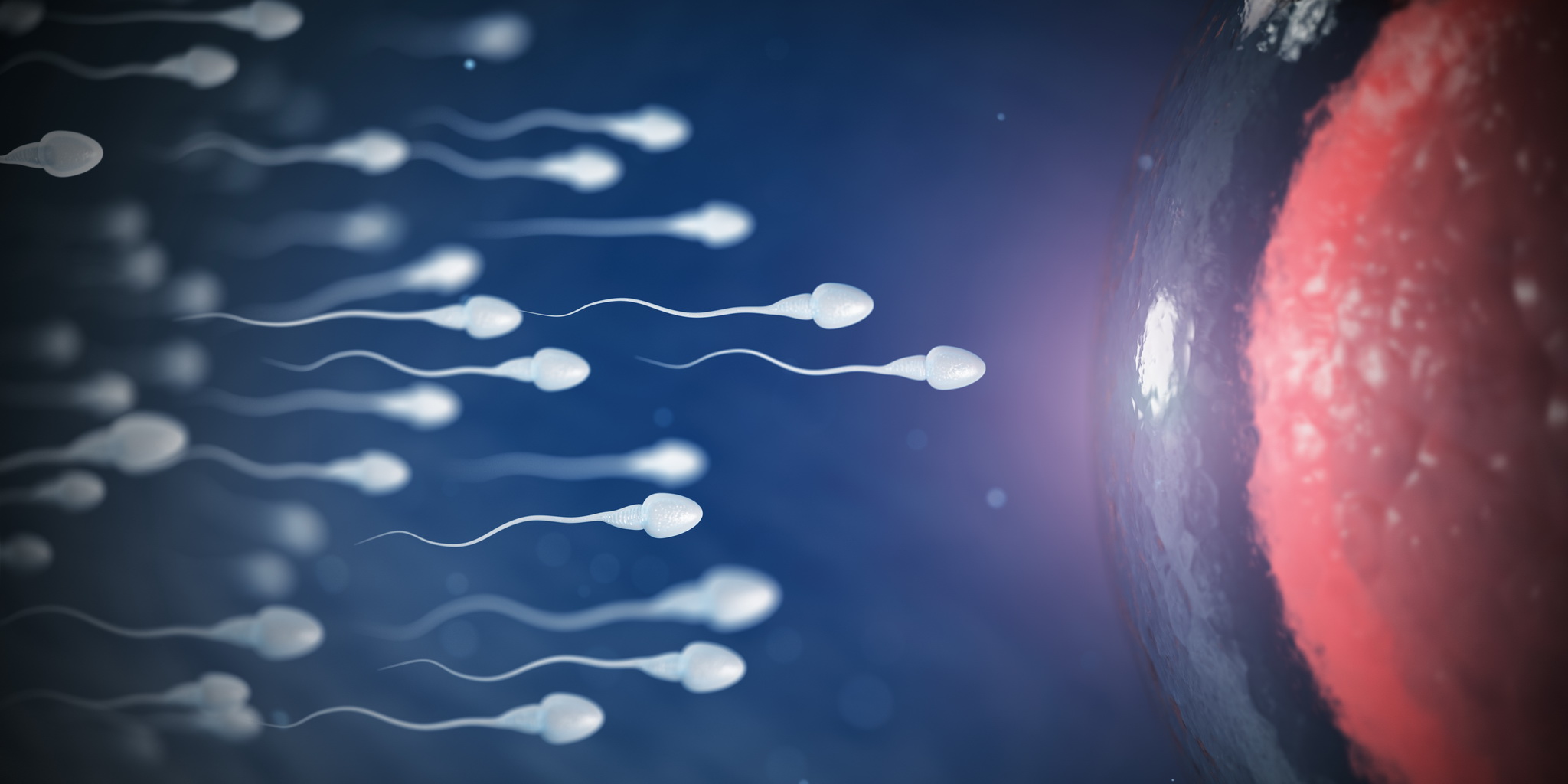 Az emberiség túlélését veszélyeztetheti, hogy egyre kevesebb a férfiak spermája