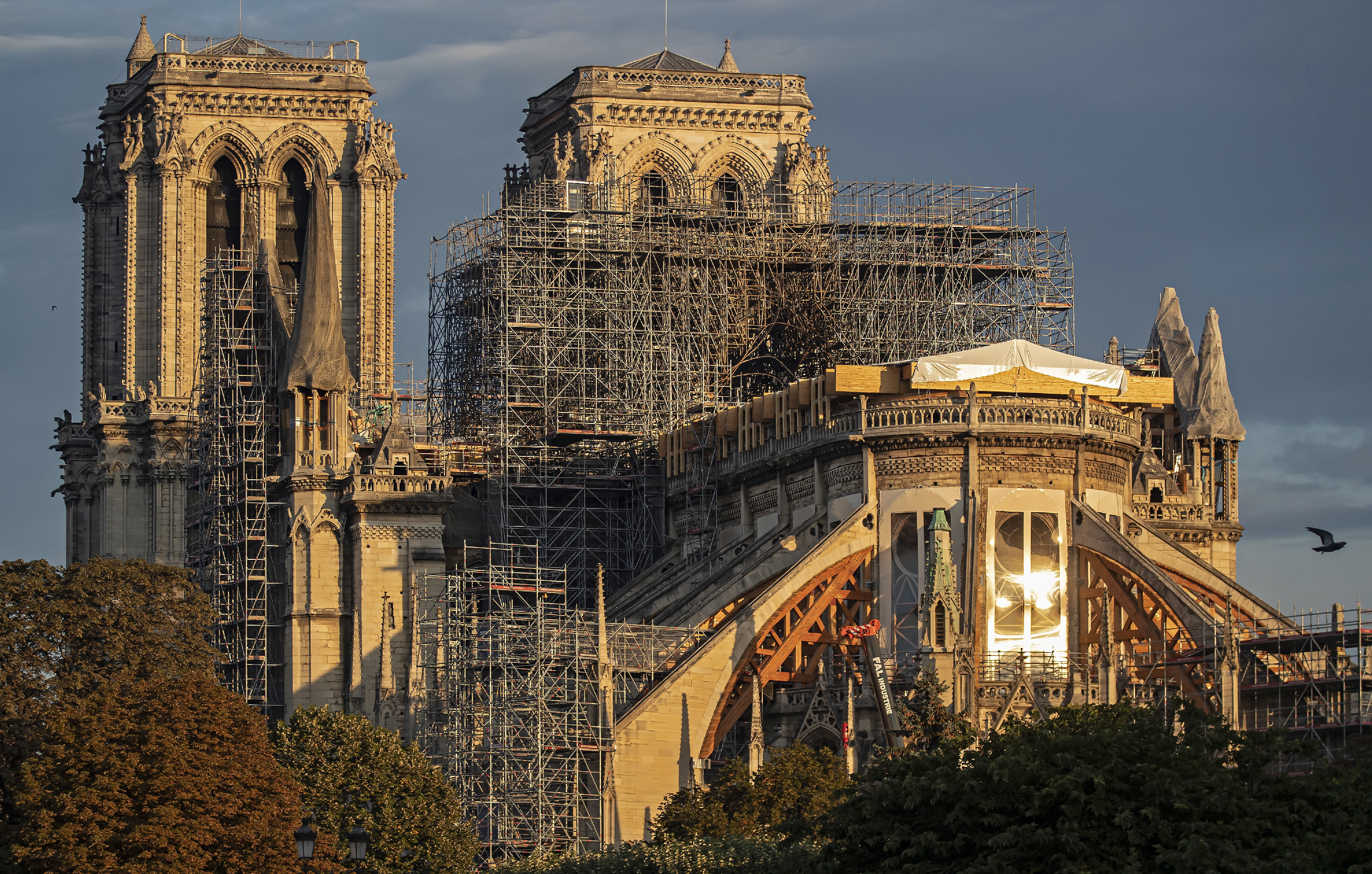 Kiválasztották a Notre-Dame újjáépítéséhez szükséges fákat