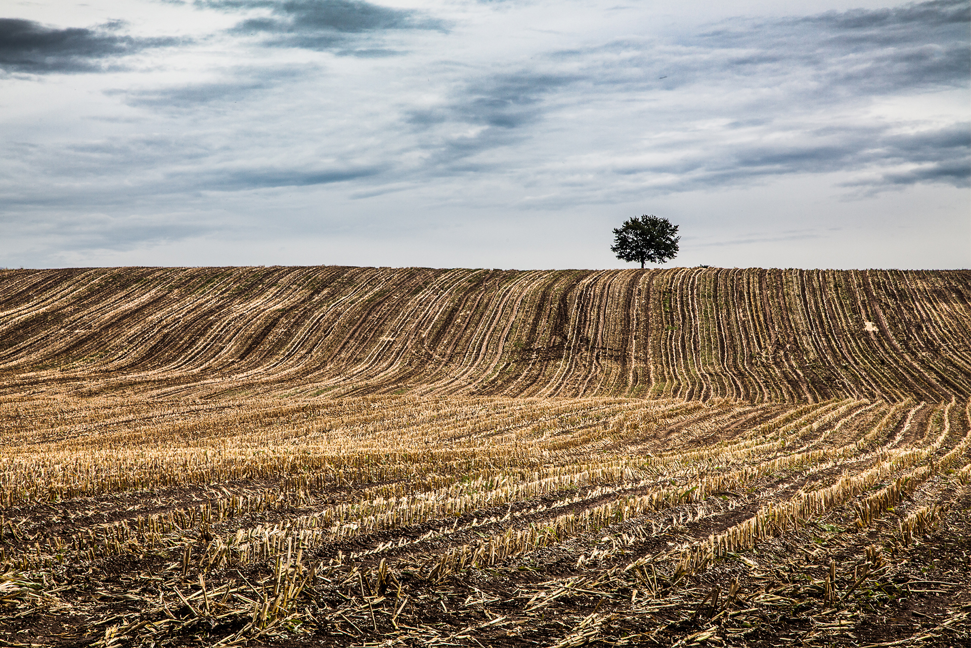 Egymillió hektár magyar termőföldet érinthet az aszály