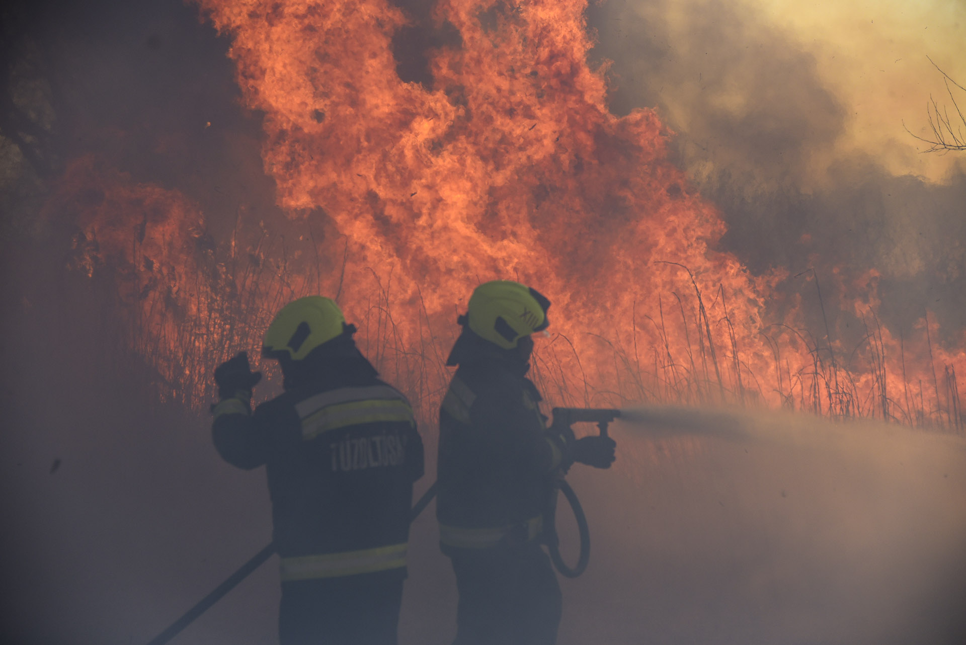 Tíz hektáron lángolt a nádas Nógrádban, egy erdő is veszélybe került
