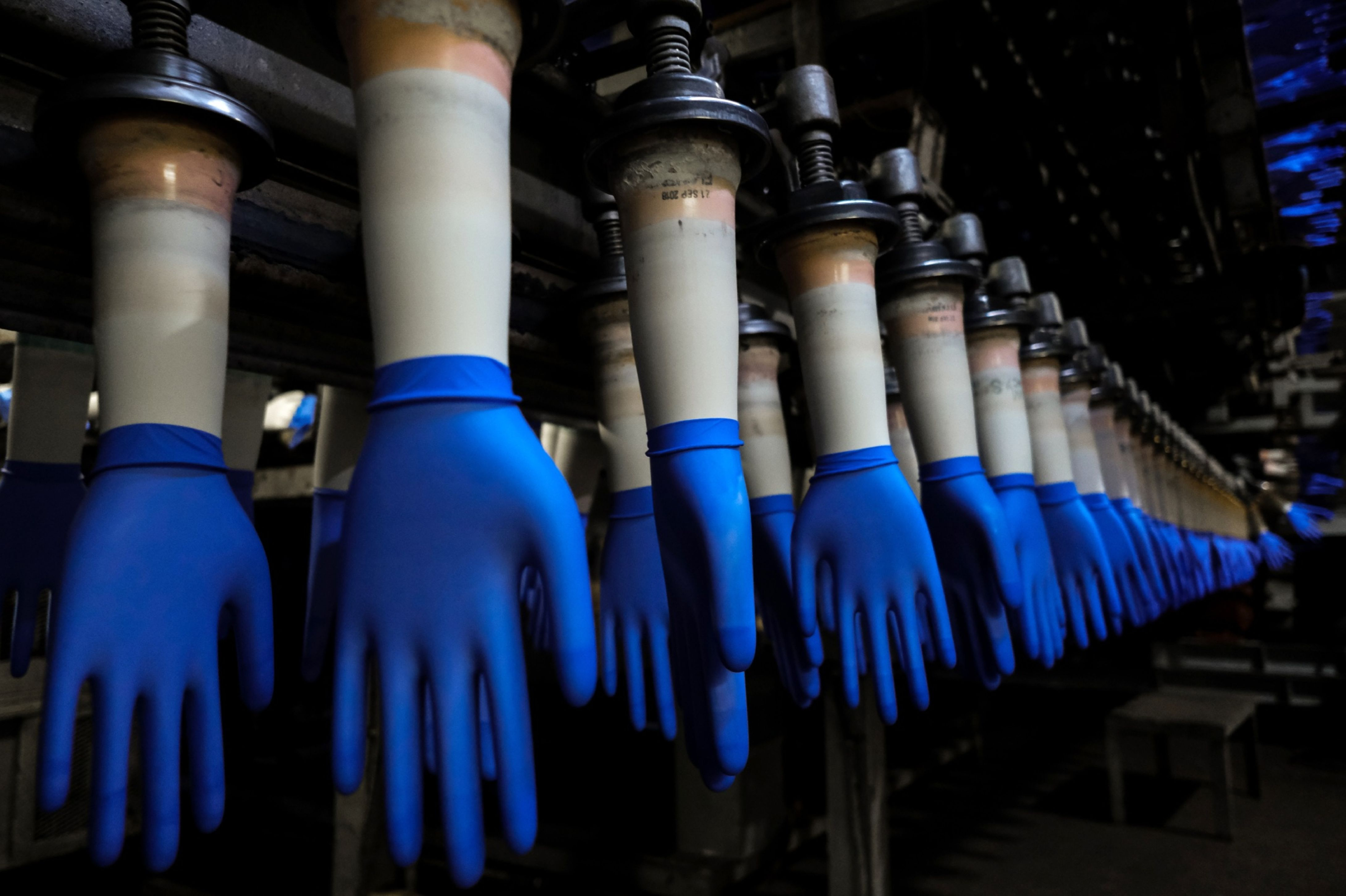 Kényszermunkával készül a gumikesztyű a világ legnagyobb gyárában