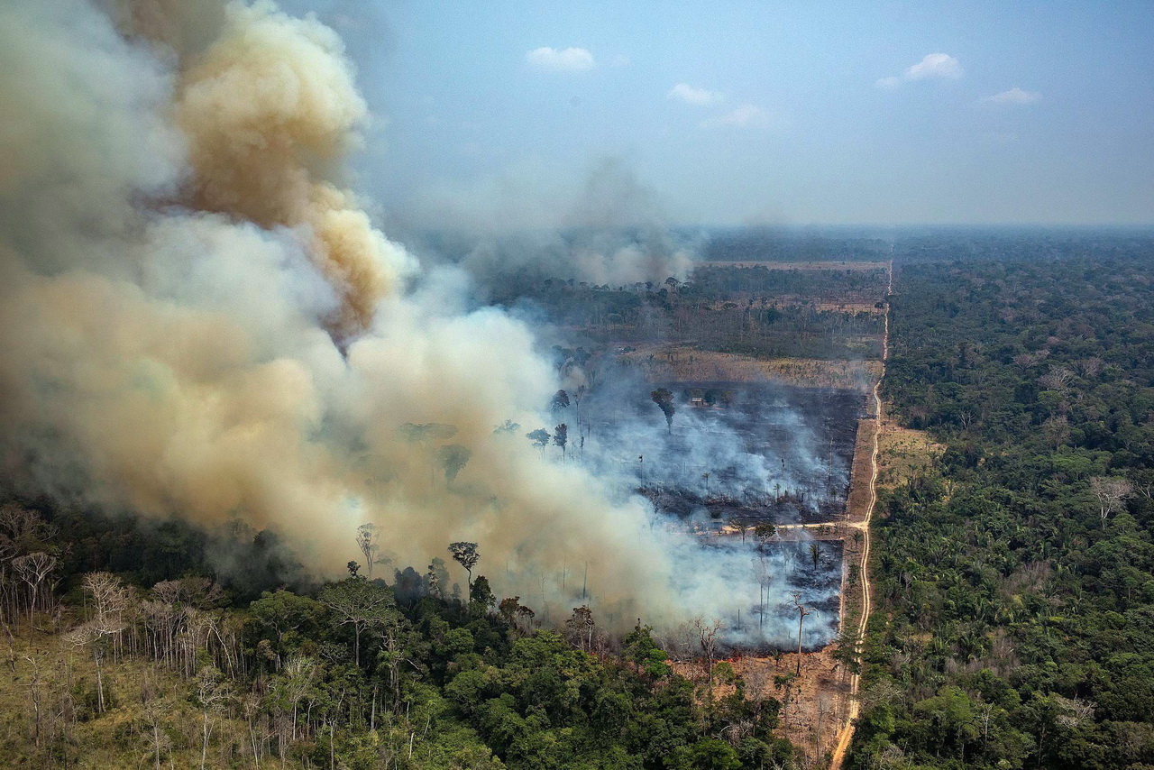 Országnyi területet égettek fel az amazonasi esőerdőben 2020-ban