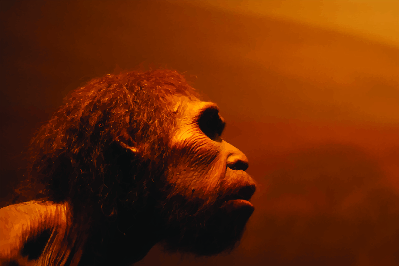 Az első modern emberek gyakrabban keveredtek a neandervölgyiekkel, mint eddig vélték