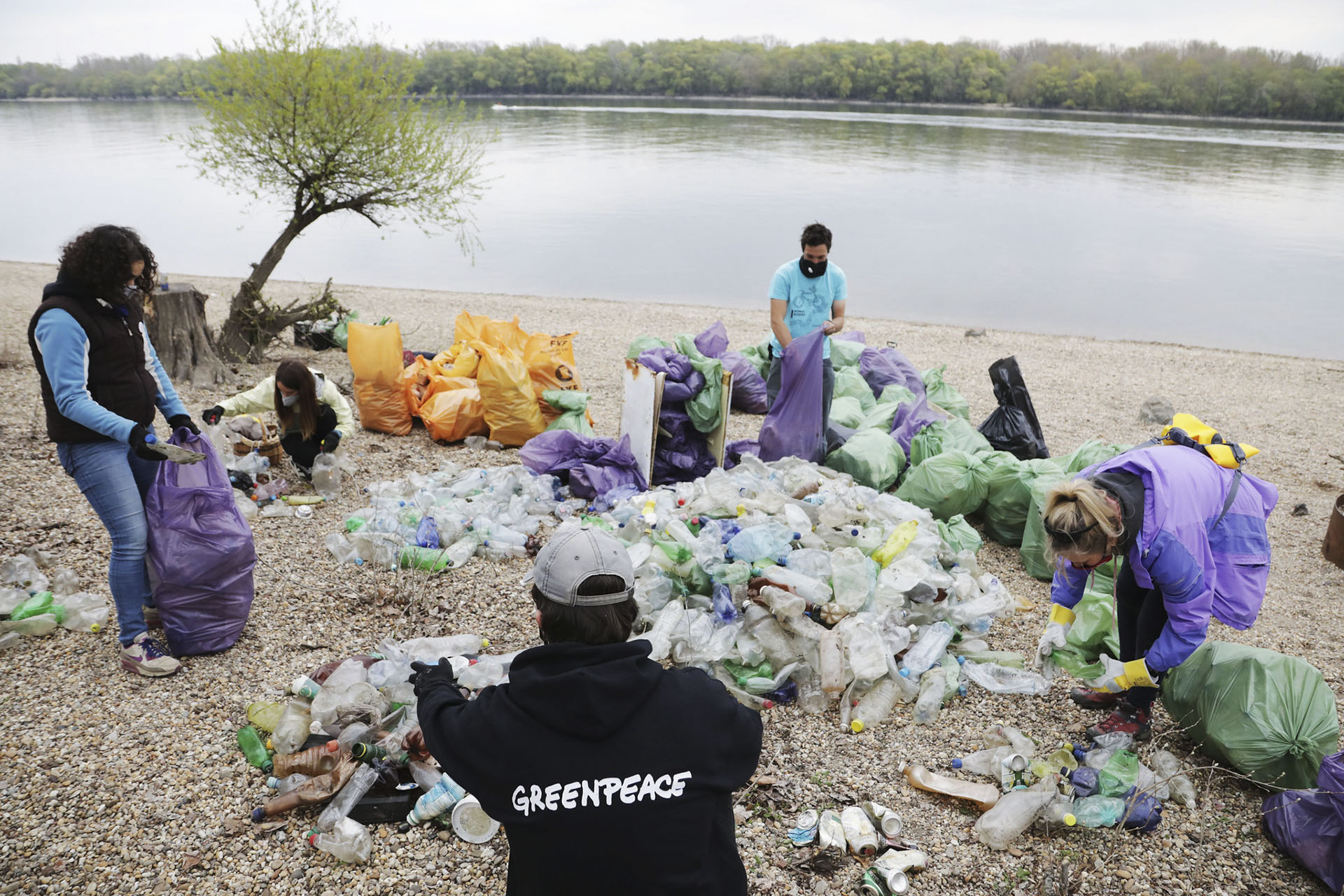 Nyolcvan zsáknyi műanyagszemetet gyűjtöttek össze a Szentendrei-szigeten