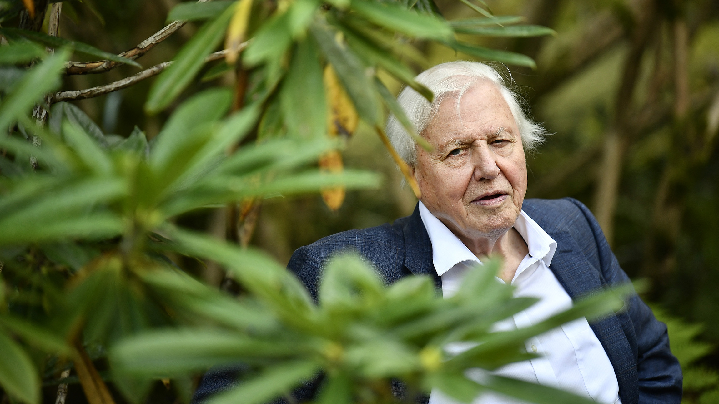 96 éves David Attenborough, íme 96 másodperc az életéből