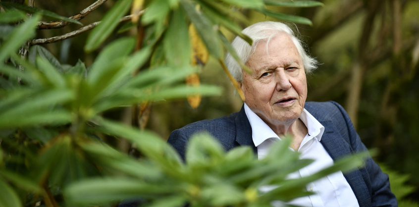 96 éves David Attenborough, íme 96 másodperc az életéből