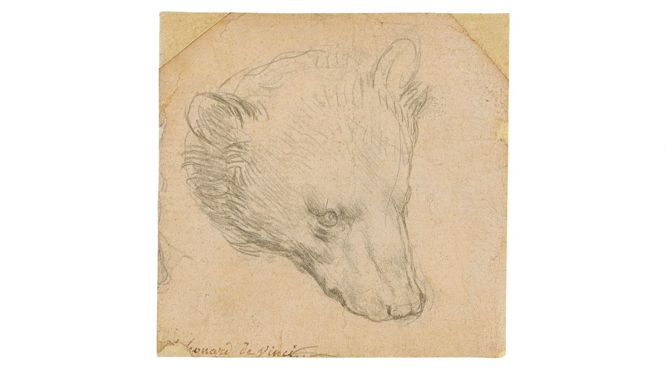Árverésre kerül egy Leonardo da Vinci-rajz, az ára rekordot dönthet