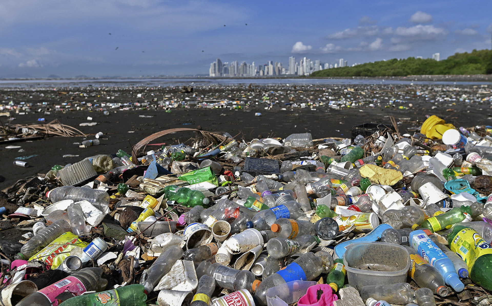 Húsz cég felelős a világ műanyagszemetének több mint feléért