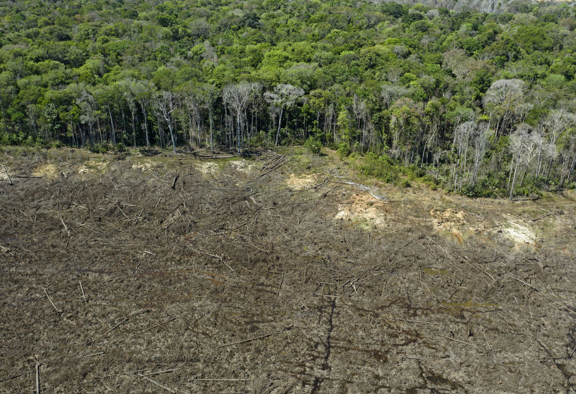 A brazil kormány elismerte, hogy súlyosbodott az Amazonas pusztítása