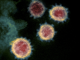 Szeretné megtudni mennyi ideig koronavírus fertőzött? 