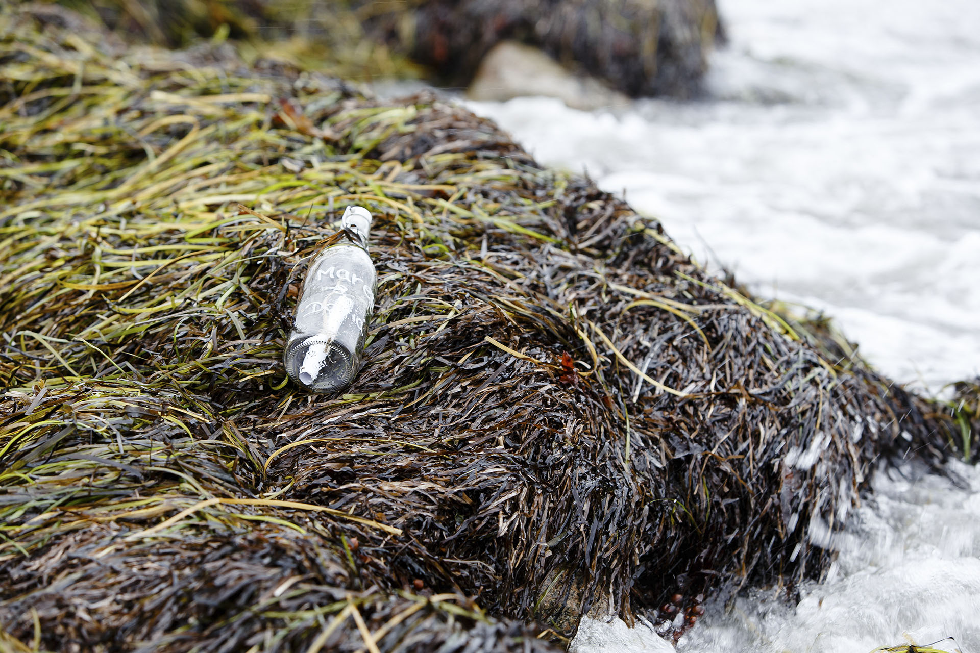 Átúszta az Atlanti-óceánt egy palackposta