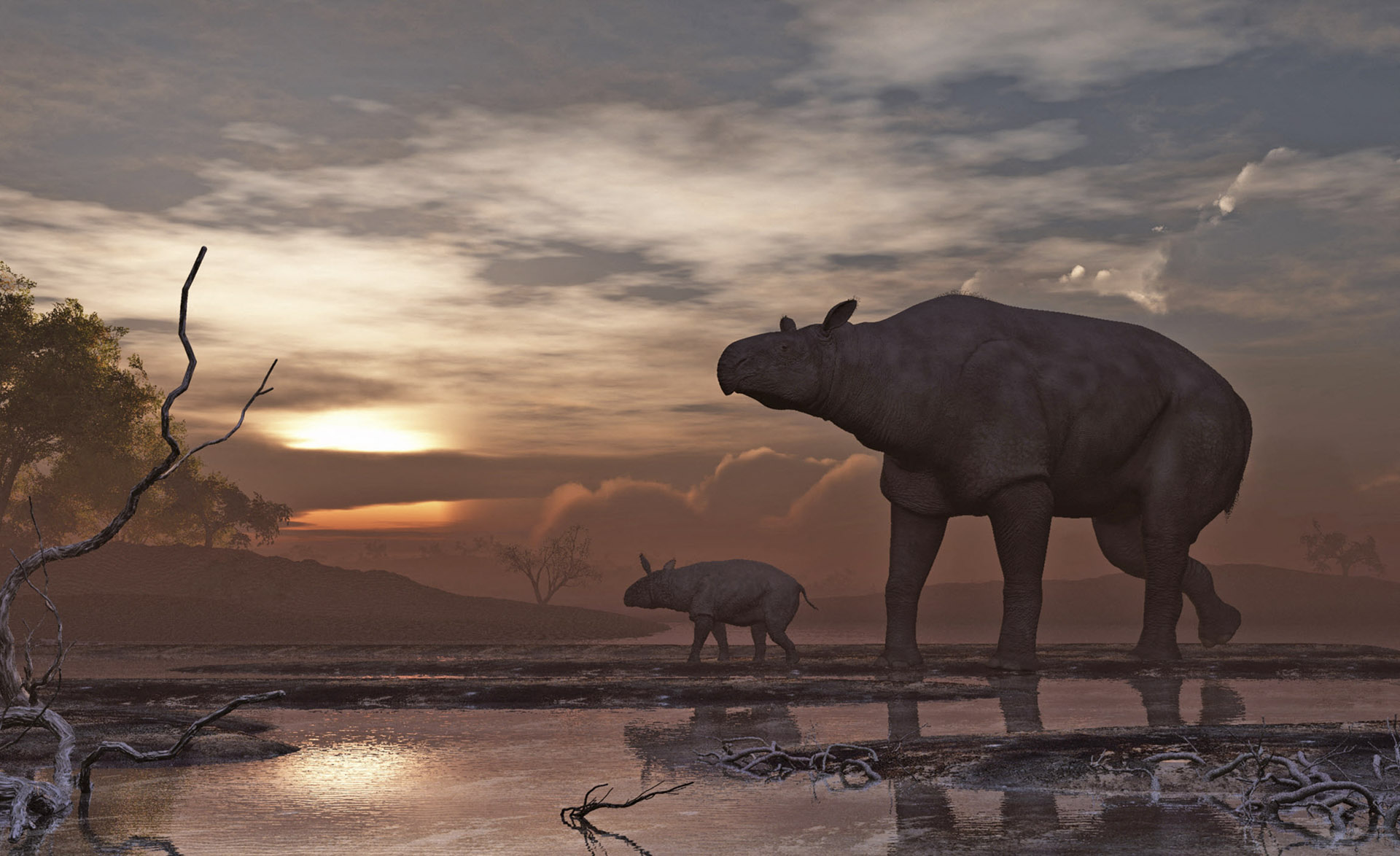Ősi óriás orrszarvú maradványaira bukkantak Kínában